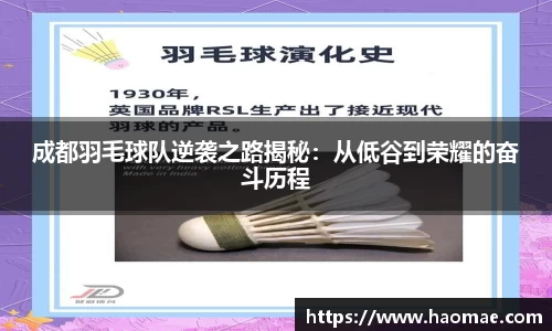 成都羽毛球队逆袭之路揭秘：从低谷到荣耀的奋斗历程