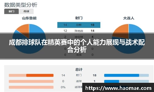 成都排球队在精英赛中的个人能力展现与战术配合分析