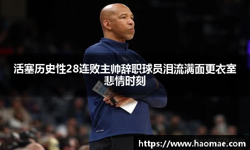 庄闲官网